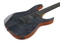 Ibanez GRGR221FA-TDK Ibanez GRGR221FA-TDK